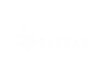 Logo ElfBar