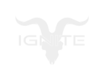 Logo Iginite